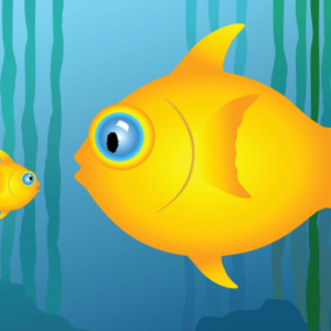 Участники финансового рынка: крупные и мелкие игроки |